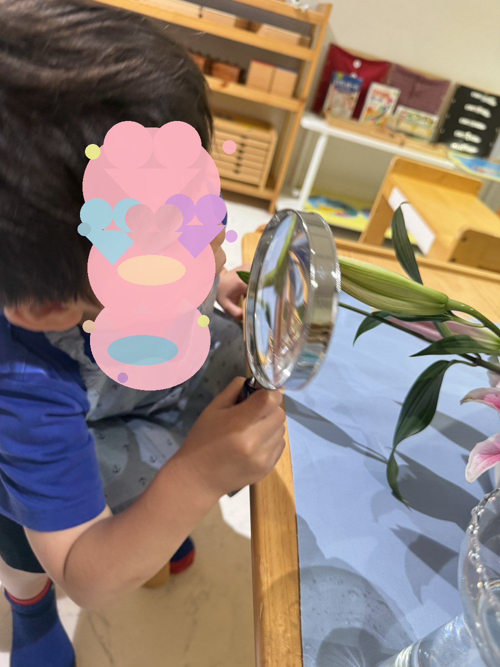 ユリを虫眼鏡で観察する子ども